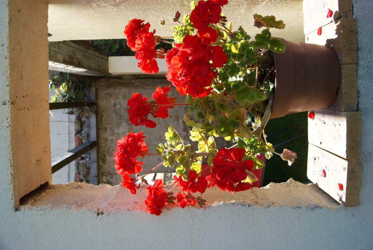 38 Friaudour Bed and Breakfast Saint-Pardoux-lʼOrtigier Εξωτερικό φωτογραφία